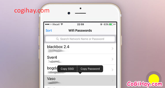 Cách xem lại mật khẩu WIFI được lưu trên iPhone, iPad đã jailbreak + Hình 8