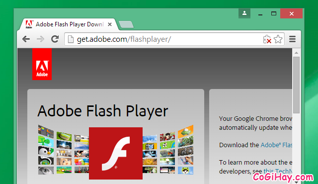 Hướng dẫn kích hoạt Adobe Flash Player trên Google Chrome 76 + Hình 4