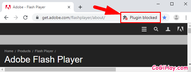 Hướng dẫn kích hoạt Adobe Flash Player trên Google Chrome 76 + Hình 7