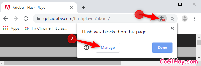 Hướng dẫn kích hoạt Adobe Flash Player trên Google Chrome 76 + Hình 11