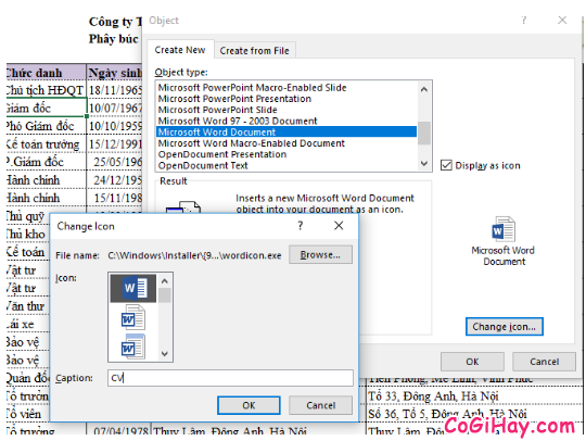 Cách chèn một tệp tin PDF, Word vào bảng tính Microsoft Excel + Hình 5