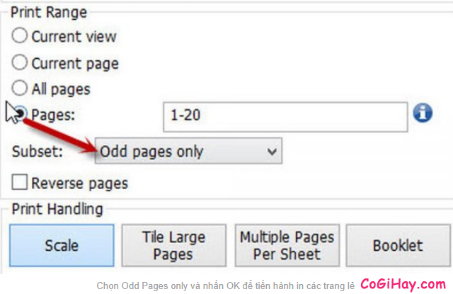Hướng dẫn in hai mặt giấy trong Word, PDF & Excel + Hình 5