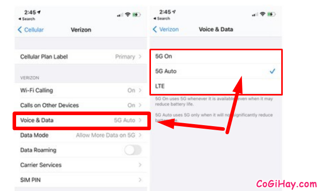 Mẹo tiết kiệm dữ liệu 5G trên điện thoại iPhone 12 + Hình 7